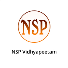 nsp-logo